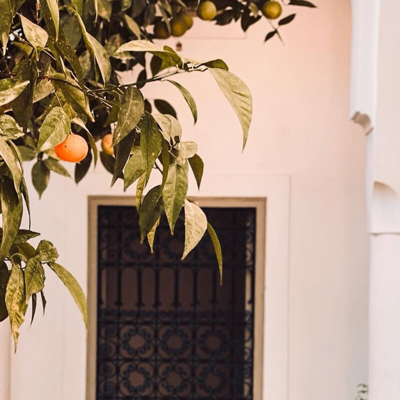 Riad Berbère Marrakech