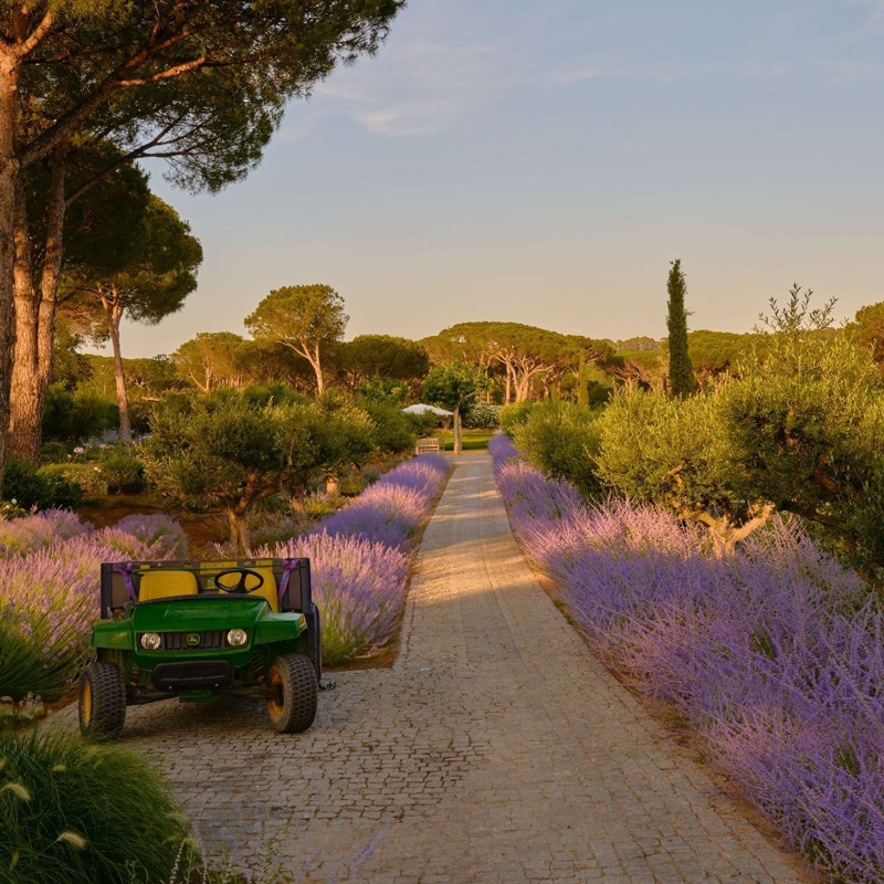 The White Lotus - Les Airelles Saint-Tropez - Château de La Messardière