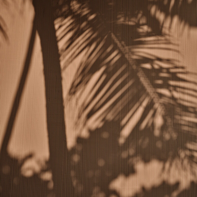 Here Baa Atoll Maldives