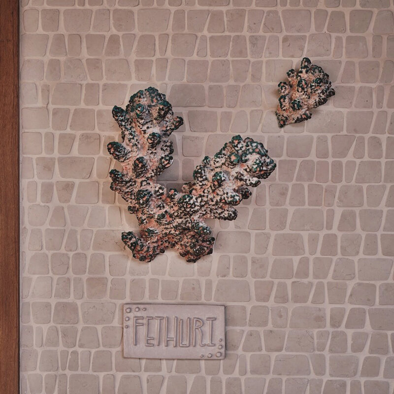 Here Baa Atoll Maldives